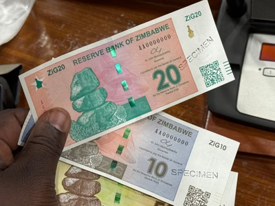 Zimbabwe’s new currency faces headwinds five months on