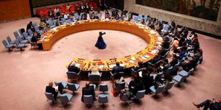 UN Security Council