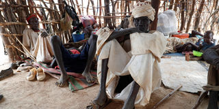 Sudan famine