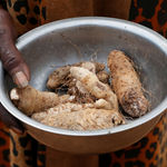 Sudan famine