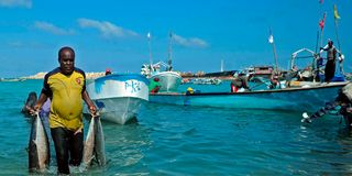 Fishing in Somalia