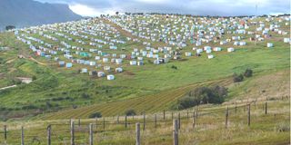 South Africa