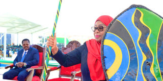 2025-11-03T154754Z_1716400484_RC2YOHARER03_RTRMADP_3_TANZANIA-ELECTION