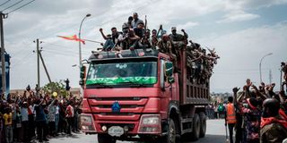 Tigray